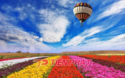 5 điểm cộng mà tranh dán tường 3D Tiến Phát mang lại