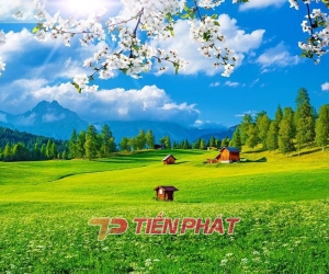 Tranh Dán Tường Phong Cảnh Thiên Nhiên