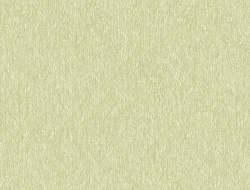 Giấy Dán Tường Dán Trần TRAN2331 Giấy Dán Tường Dán Trần TRAN2331