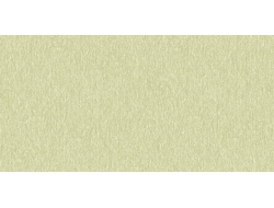 Giấy Dán Tường Dán Trần TRAN2331 Giấy Dán Tường Dán Trần TRAN2331