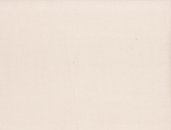 Giấy Dán Tường Dán Trần TRAN3610 Giấy Dán Tường Dán Trần TRAN3610