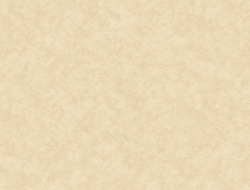 Giấy Dán Tường Dán Trần He1127 Giấy Dán Tường Dán Trần He1127