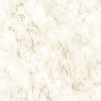 Giấy Dán Tường Giả Đá fo1129