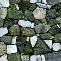 Giấy Dán Tường Giả Đá GD7012