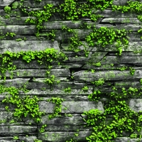 Giấy Dán Tường Giả Đá GD7029 Giấy Dán Tường Giả Đá GD7029