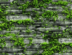 Giấy Dán Tường Giả Đá GD7029 Giấy Dán Tường Giả Đá GD7029