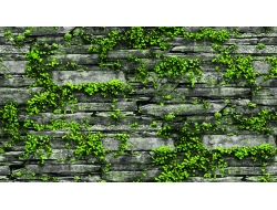 Giấy Dán Tường Giả Đá GD7029