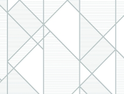 Giấy Dán Tường Giả Gỗ Fo1124