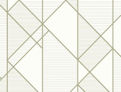 Giấy Dán Tường Giả Gỗ Fo1125