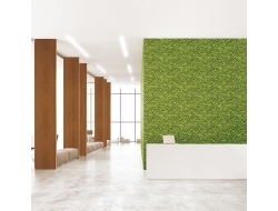 Giấy Dán Tường Giả Gỗ Au1226