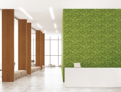 Giấy Dán Tường Giả Gỗ Au1226