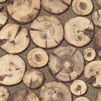 Giấy Dán Tường Giả Gỗ GG617