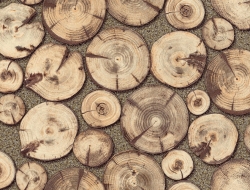 Giấy Dán Tường Giả Gỗ GG617