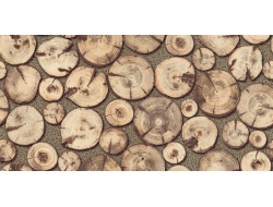 Giấy Dán Tường Giả Gỗ GG617 Giấy Dán Tường Giả Gỗ GG617