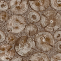 Giấy Dán Tường Giả Gỗ Na1136