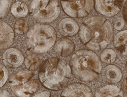 Giấy Dán Tường Giả Gỗ Na1136 Giấy Dán Tường Giả Gỗ Na1136