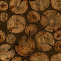 Giấy Dán Tường Giả Gỗ Na1137