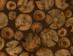 Giấy Dán Tường Giả Gỗ Na1137 Giấy Dán Tường Giả Gỗ Na1137