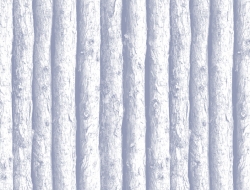 Giấy Dán Tường Giả Gỗ Na1149