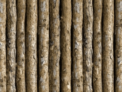 Giấy Dán Tường Giả Gỗ Na1151