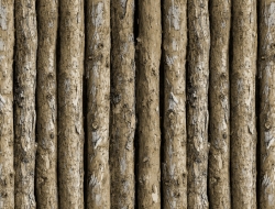 Giấy Dán Tường Giả Gỗ Na1152