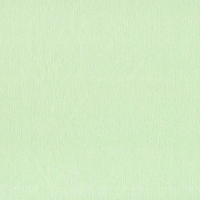 Giấy Dán Tường Hàn Quốc E7006-2 Giấy Dán Tường Hàn Quốc E7006-2