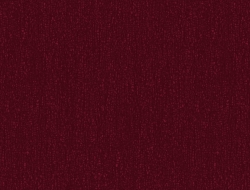 Giấy Dán Tường Hàn Quốc Sn6003-5 Giấy Dán Tường Hàn Quốc Sn6003-5