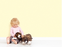 Giấy Dán Tường Hàn Quốc Vi3009-10 Giấy Dán Tường Hàn Quốc Vi3009-10