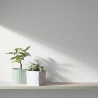 Giấy Dán Tường Hiện Đại Bs1157 Giấy Dán Tường Hiện Đại Bs1157