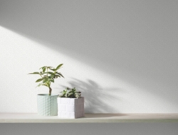 Giấy Dán Tường Hiện Đại Bs1157 Giấy Dán Tường Hiện Đại Bs1157