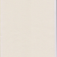 Giấy Dán Tường Hiện Đại HD1001