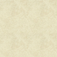 Giấy Dán Tường Hiện Đại HD1081 Giấy Dán Tường Hiện Đại HD1081