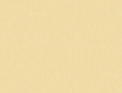 Giấy Dán Tường Hiện Đại HD1082 Giấy Dán Tường Hiện Đại HD1082