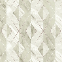 Giấy Dán Tường Họa Tiết 3D Fo1141