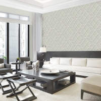 Giấy Dán Tường Họa Tiết 3D HT273