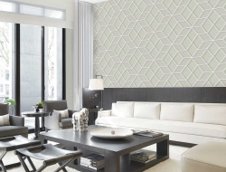 Giấy Dán Tường Họa Tiết 3D HT273 Giấy Dán Tường Họa Tiết 3D HT273