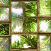 Giấy Dán Tường Họa Tiết 3D HT8307