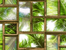 Giấy Dán Tường Họa Tiết 3D HT8307 Giấy Dán Tường Họa Tiết 3D HT8307