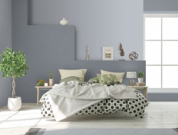 Giấy Dán Tường Họa Tiết Trơn Bs1103