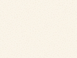 Giấy Dán Tường Họa Tiết Trơn HTT133 Giấy Dán Tường Họa Tiết Trơn HTT133