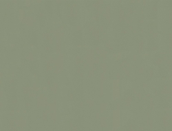 Giấy Dán Tường Họa Tiết Trơn HTT7227