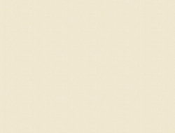 Giấy Dán Tường Họa Tiết Trơn Vc11106 Giấy Dán Tường Họa Tiết Trơn Vc11106