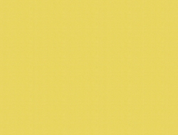 Giấy Dán Tường Họa Tiết Trơn Vc11113 Giấy Dán Tường Họa Tiết Trơn Vc11113