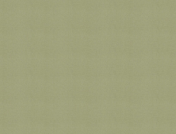 Giấy Dán Tường Họa Tiết Trơn Vc1165