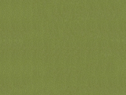 Giấy Dán Tường Họa Tiết Trơn Vc1170