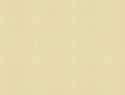 Giấy Dán Tường Họa Tiết Trơn Vc1174