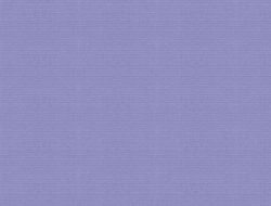 Giấy Dán Tường Họa Tiết Trơn Vc1178