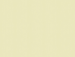 Giấy Dán Tường Họa Tiết Trơn Vc1190