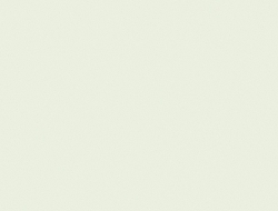 Giấy Dán Tường Vi1151 Giấy Dán Tường Vi1151