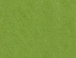 Giấy Dán Tường Phòng Ăn PA8005 Giấy Dán Tường Phòng Ăn PA8005